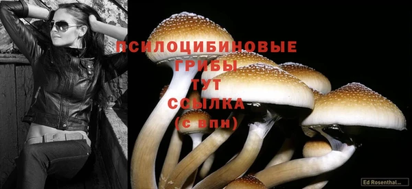 ECSTASY Гусев