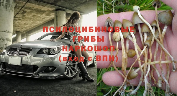 a pvp Абдулино